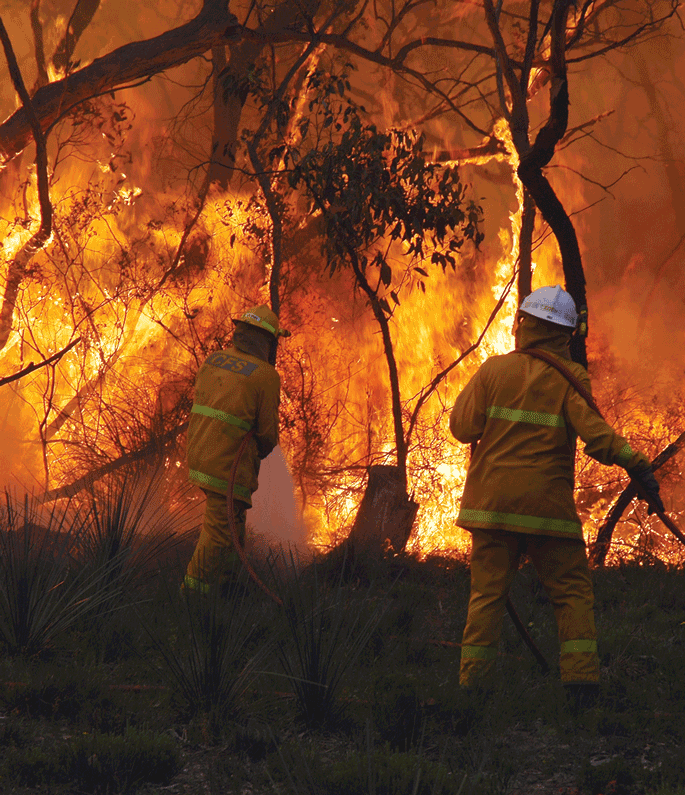 hero-state-bushfire-management-plan